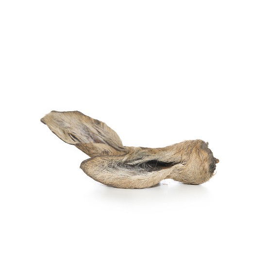 Twee snack hertenoren met vel van Darf