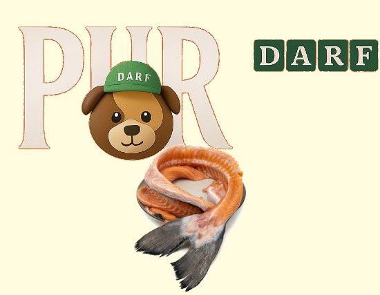 Afbeeldingen van Barf Zalm Lijven 500g