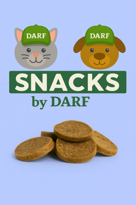 Afbeeldingen van DARF Snacks - Vleesschijven Zalm (10 stuks)