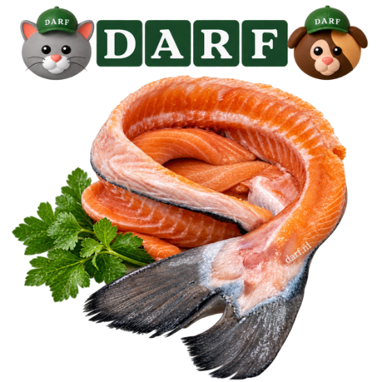 Afbeeldingen van Barf Pur Zalm Lijven 500 g